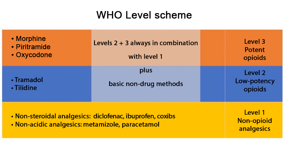WHO Level scheme