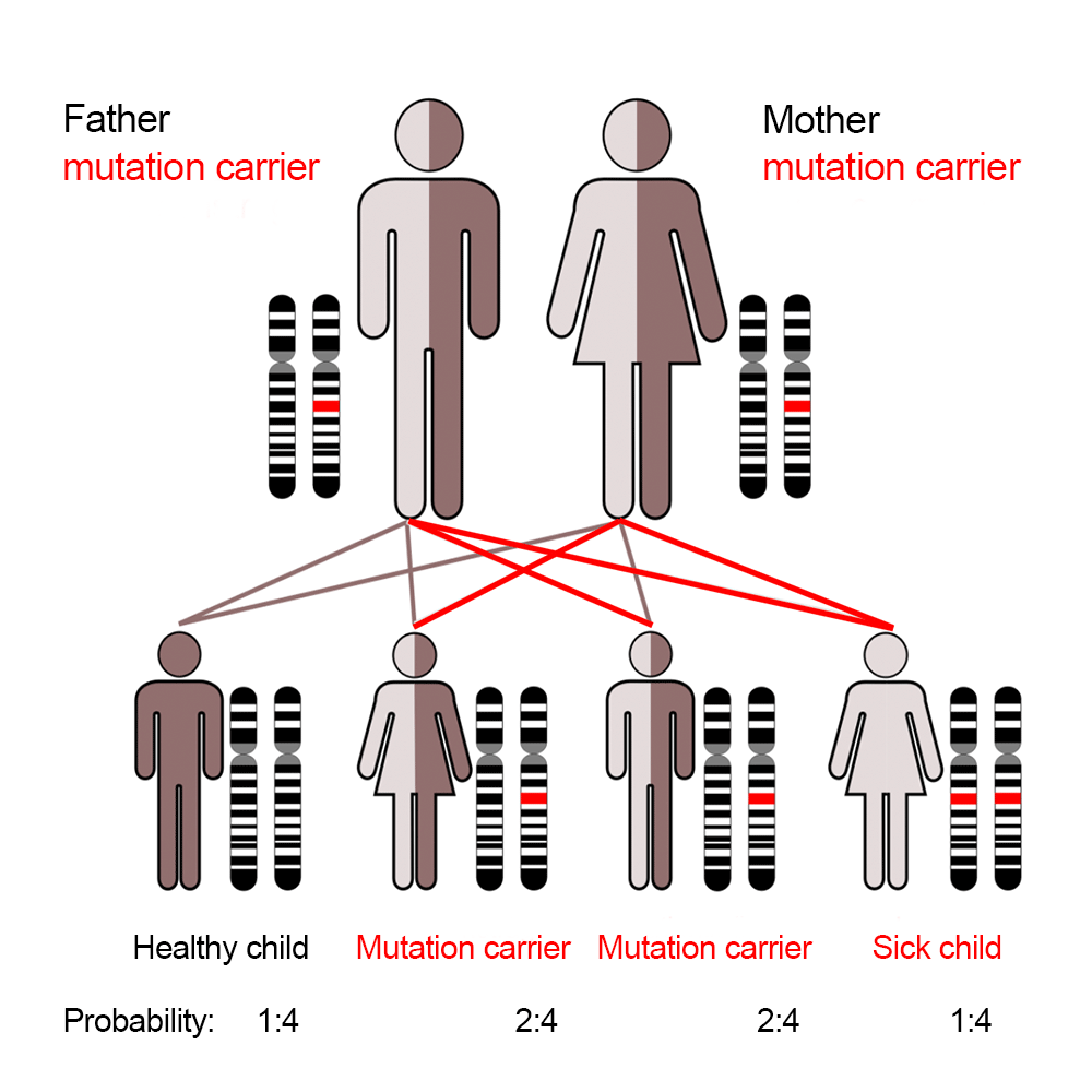 Autosomal recessive inheritance (cross diagram)