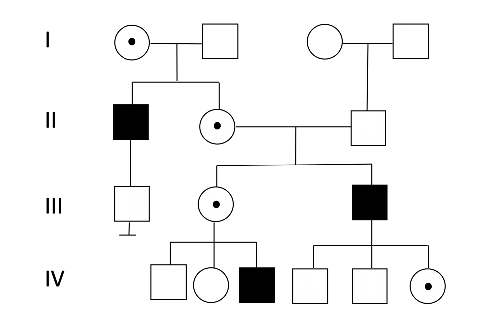 X-linked genetic family tree